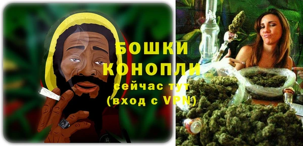 стаф Нефтегорск