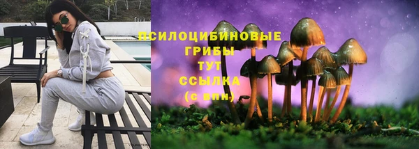 spice Абаза