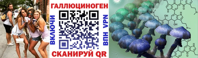 Галлюциногенные грибы GOLDEN TEACHER  мориарти телеграм  Лакинск 